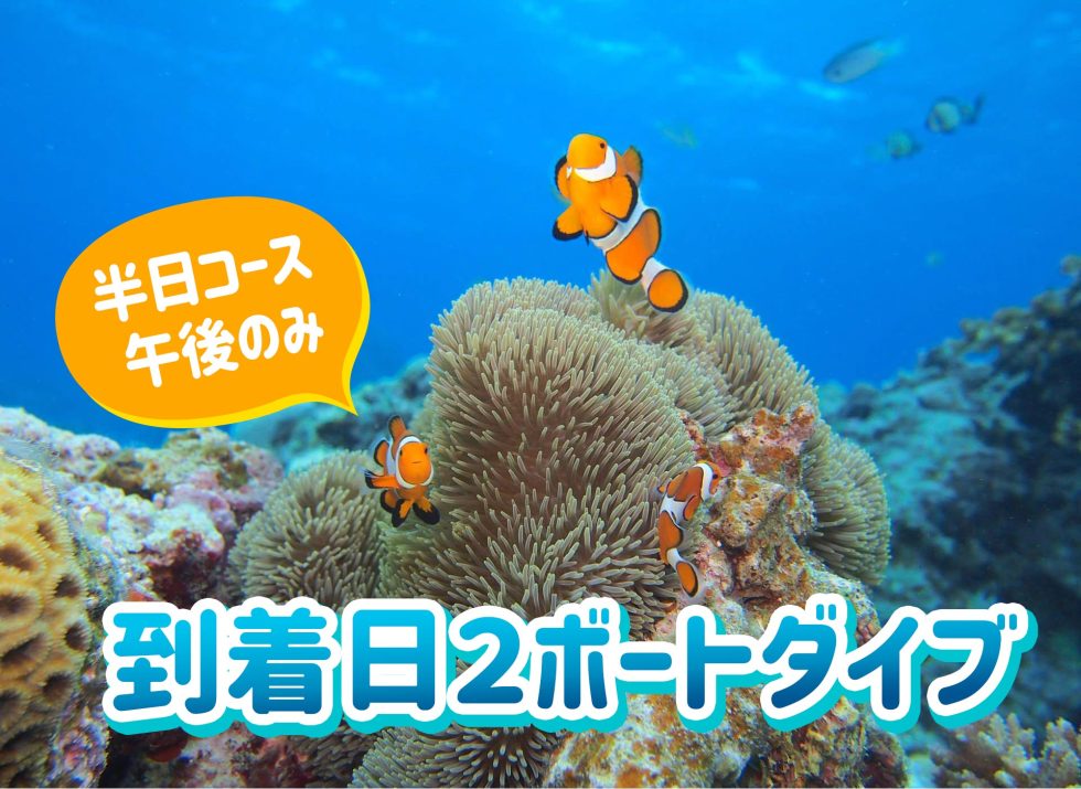 到着日2ボートファンダイビング
