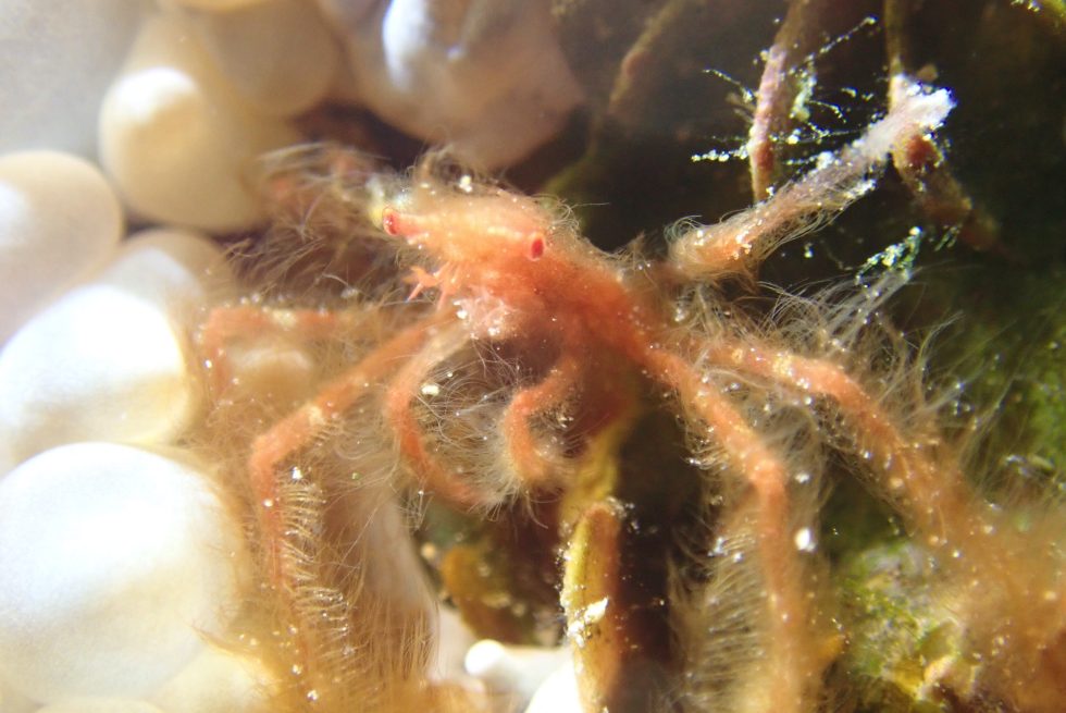 石垣島ダイビングショップ ファンダイビング