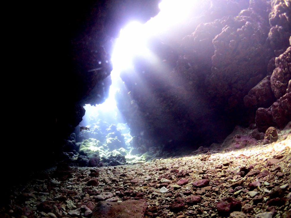 石垣島ダイビングショップ ファンダイビング