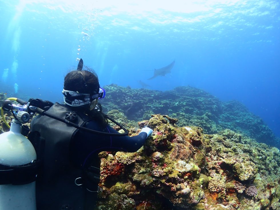石垣島ダイビングショップ ファンダイビング